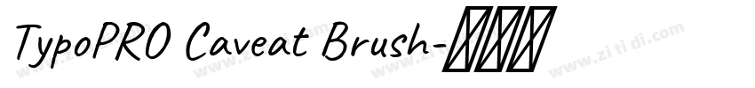 TypoPRO Caveat Brush字体转换